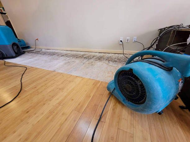 Professional Emergency Water Damage technician working in Cleveland, AL